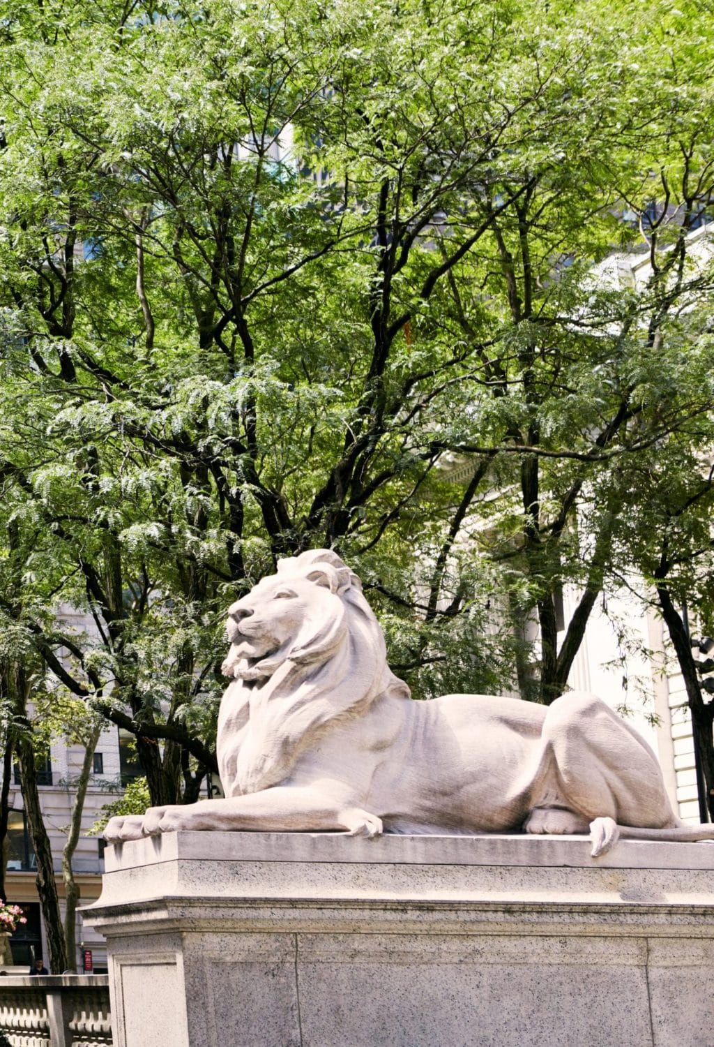 New York Public Library lion