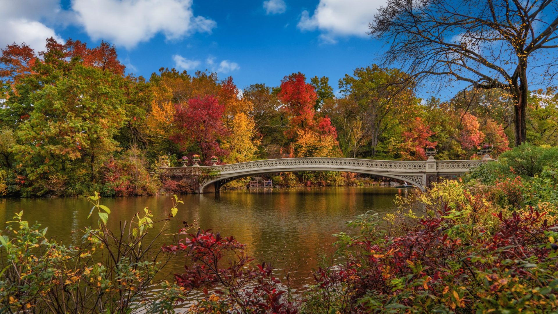 image of a bridge over lake in nyc in the fall